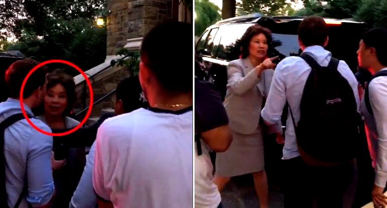 Elaine Chao Caught on Camera Yelling at Protesters to Leave Her Husband Alone