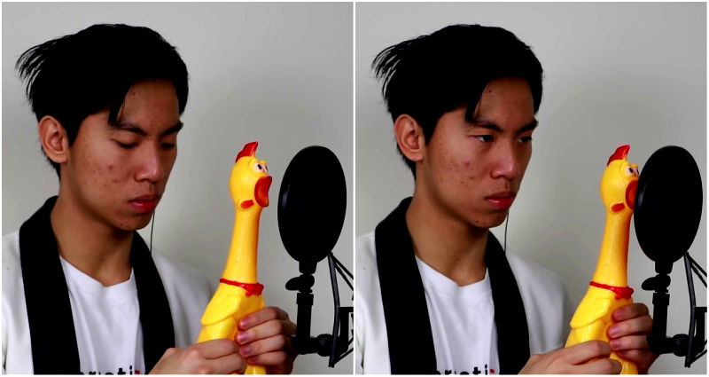 ‘Chicken’ Performing Pachelbel’s Canon is Unlike Anything You’ve Ever Seen