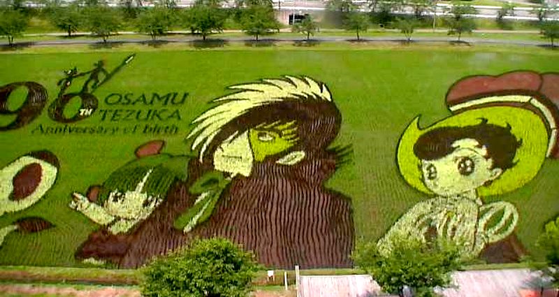 Japanese Village Makes Art Out of Rice Paddies to Honor Manga Artist
