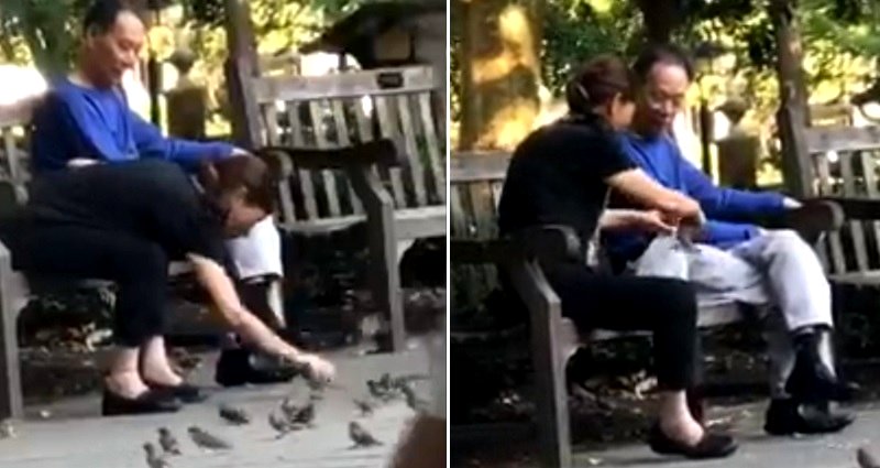 Couple Caught on Video ‘Birdnapping’ at Philadelphia Park