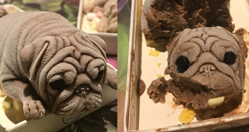 Pug shaped 2025 ice cream