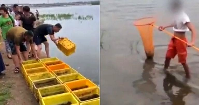 Buddhists Free Thousands of Fish Into Lake for Ceremony, Locals Immediately Catch Them With Nets