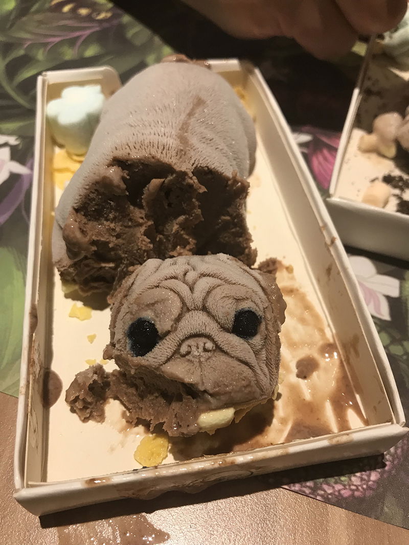 Dog shaped ice sales cream near me