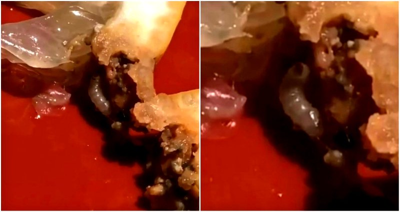 Sushi Restaurant Manager Resigns After Customer Finds Maggot in Lemon Wedge