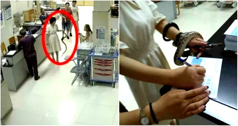Fearless Woman Walks Into Chinese Hospital Holding the Snake That Bit Her