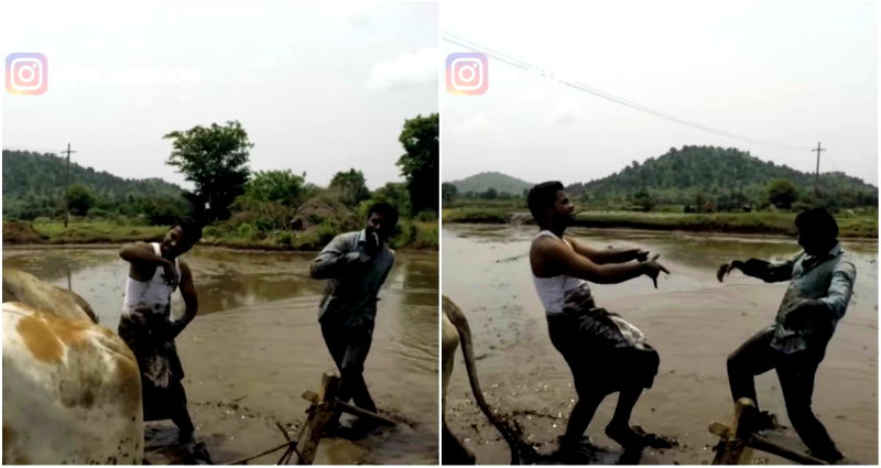 Farmers in India Go Viral After Basically Winning the ‘Kiki Challenge’