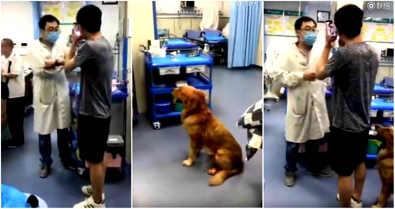 Man in China Threatens to Kill Doctor at Hospital If He Doesn’t Treat His Dog