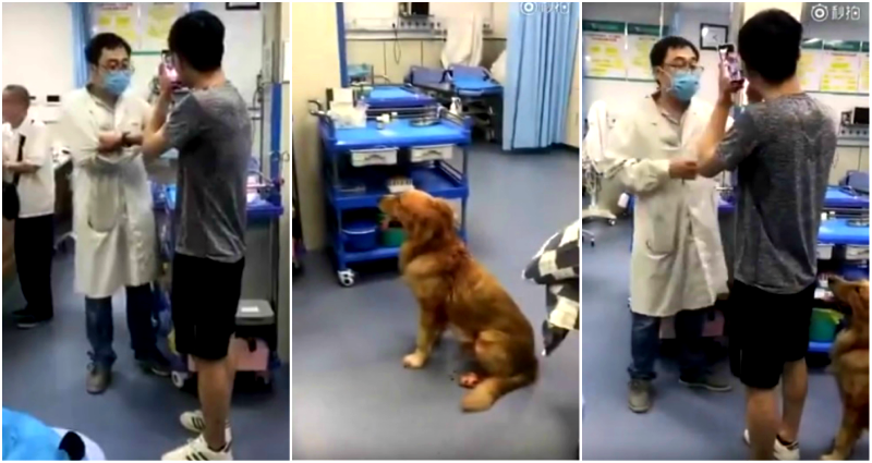 Man in China Threatens to Kill Doctor at Hospital If He Doesn’t Treat His Dog