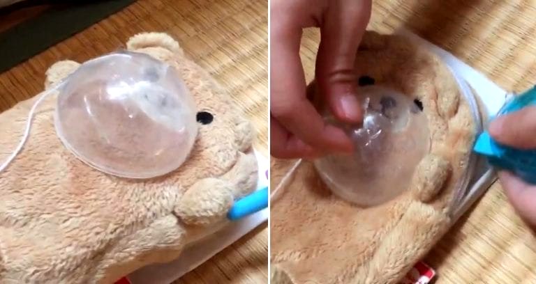 Japanese Girl Who Performs Surgery on Toy Bear is Definitely Going to Be a Doctor Someday