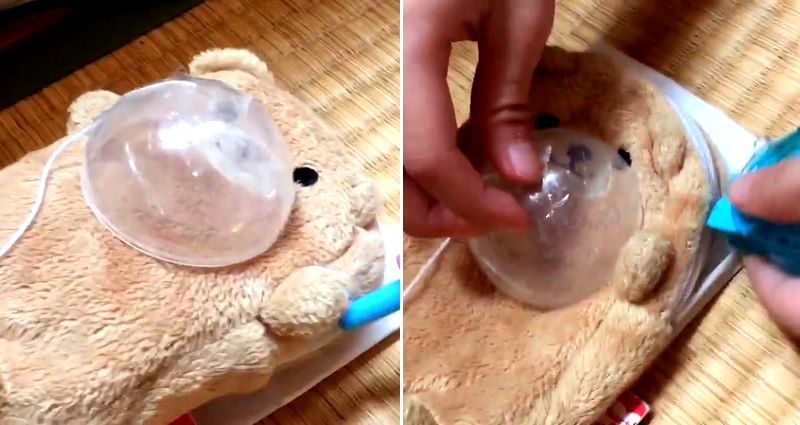 Japanese Girl Who Performs Surgery on Toy Bear is Definitely Going to Be a Doctor Someday