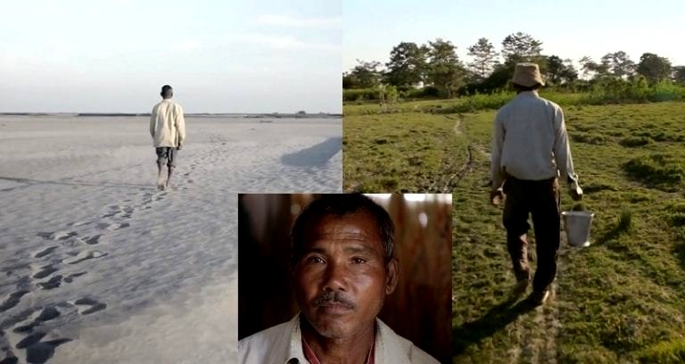 He Began Planting Seeds on a Barren Island 39 Years Ago, Now It’s a Forest Bigger Than Central Park