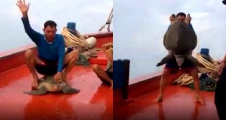 Fisherman Sparks Massive Outrage Online for Posting Video Abusing Helpless Sea Turtle