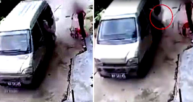 Chinese Pet Owner Stops Thieves From Almost Snatching Dog From a Moving Car