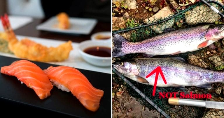Most of the Salmon Sashimi in China is Actually Rainbow Trout, So They Just Renamed the Fish