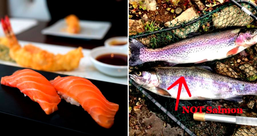 Most of the Salmon Sashimi in China is Actually Rainbow Trout, So They Just Renamed the Fish