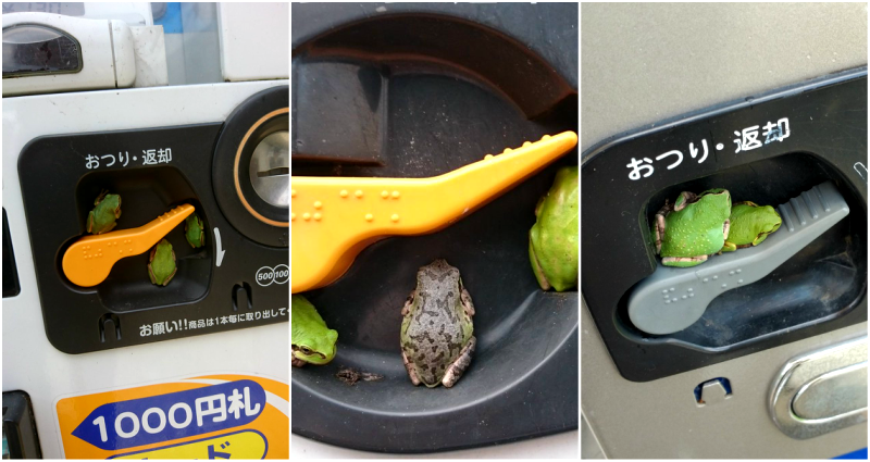 Japan Has the Most Adorable Pest Problems on Their Vending Machines