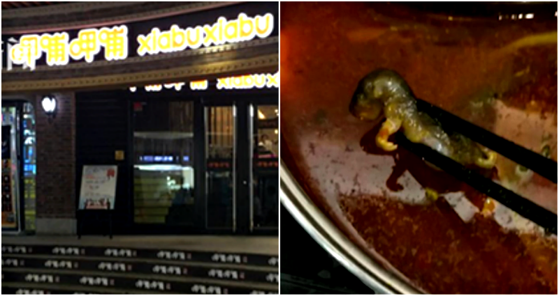 Pregnant Woman Finds Dead Rat in Hot Pot, Restaurant Offers Her Money for an Abortion