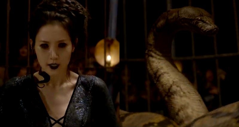 Nagini’s Casting in ‘Fantastic Beasts’ Sparks Massive Debate for Being ‘Offensive,’ ‘Racist’