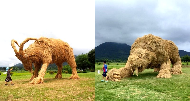 Japanese Farming Tradition Uses Rice Straw to Make Epic Works of Art After Harvests