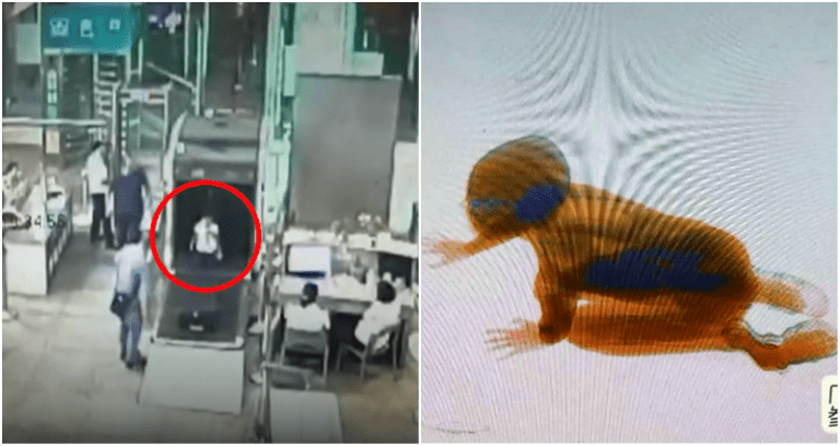Child Sneaks Into X-Ray Machine at Train Station in China