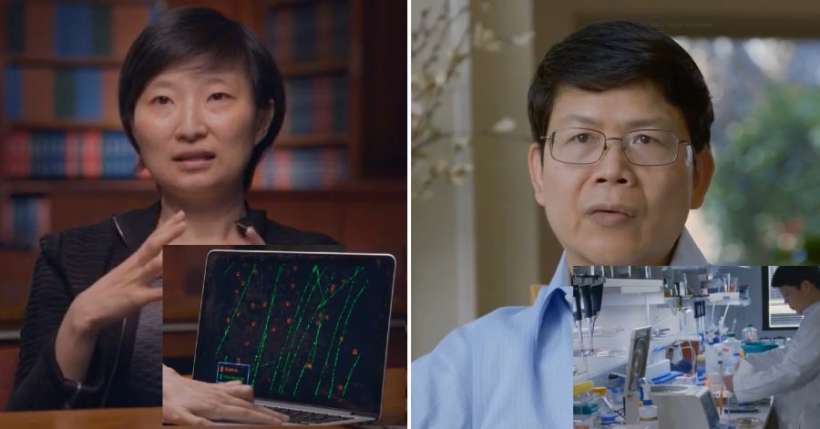 Chinese Scientists Among 9 Winners Of The Lavish 'Oscars Of Science ...