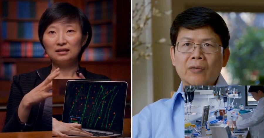 Chinese Scientists Among 9 Winners of the Lavish ‘Oscars of Science’ Awards in Silicon Valley