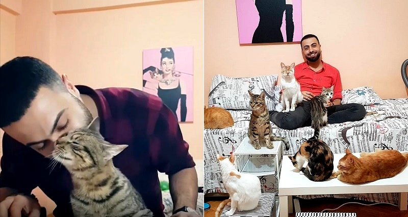 Musician Always Attracts His Cats With Soothing Piano Skills