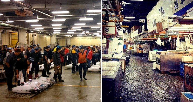 Tokyo’s World-Famous Tsukiji Fish Market Closes After 83 Years