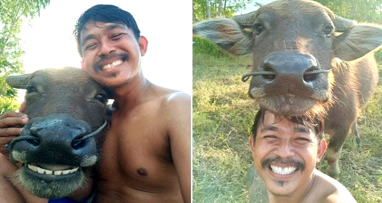 Thai Farmer Goes Viral Taking Adorable Selfies With His Smiling Buffalo