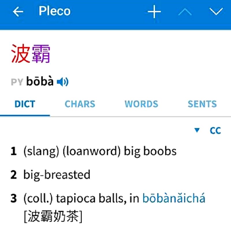 Definition of the word Boob 