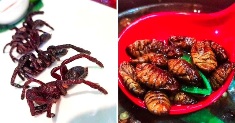 10 Insect-Based Asian Delicacies That Will Definitely Scare Away Your Non-Asian Neighbors