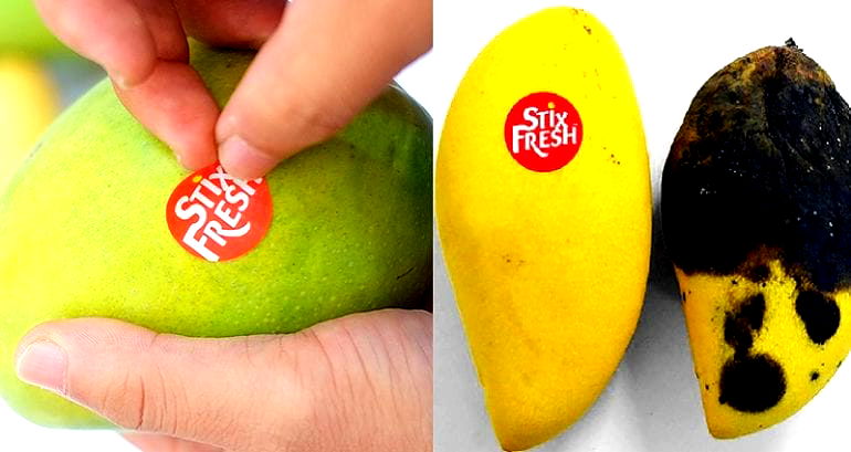 Malaysian Company Invents Sticker That Keeps Fruit Fresh for Up to 2 Weeks