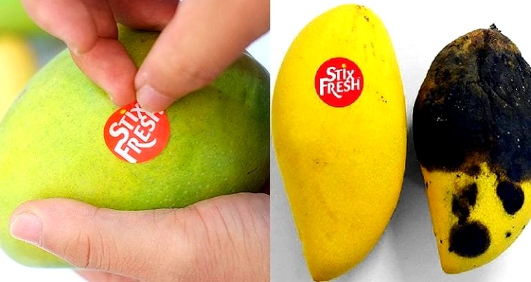 Malaysian Company Invents Sticker That Keeps Fruit Fresh for Up to 2 Weeks