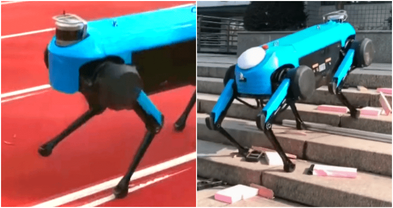 China Unveils Robot Dog that Looks Very Similar to a Boston Dynamics’ Design