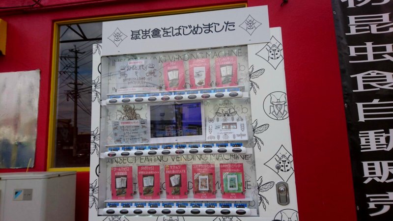 Vending machine despawned - Bugs - Gimkit Creative