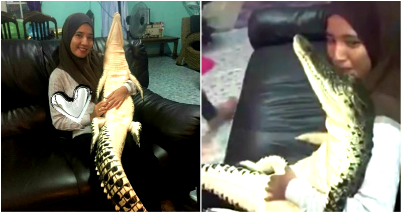 Malaysian Woman Cuddles With Wild Crocodile She Found in Her Backyard Like It’s NBD