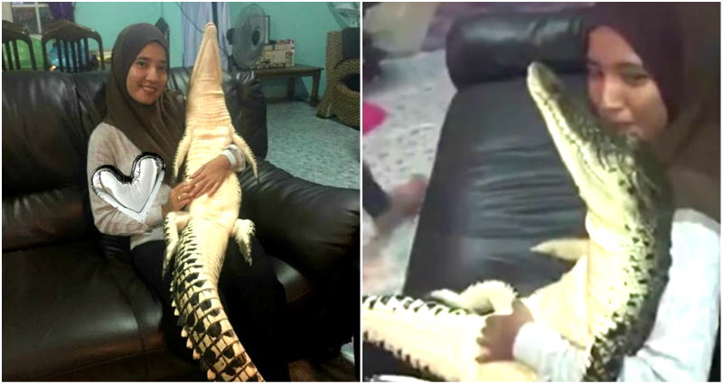 Malaysian Woman Cuddles With Wild Crocodile She Found in Her Backyard Like It’s NBD