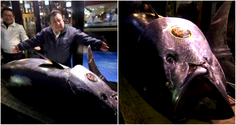 Japan’s ‘Sushi King’ Pays $3.1 Million for Endangered Bluefin Tuna