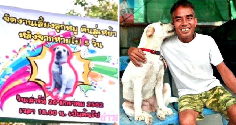 Thai Man Throws Party for His Dog ‘Piglet’ That Went Missing for Weeks