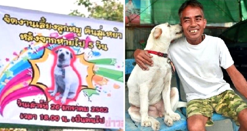 Thai Man Throws Party for His Dog ‘Piglet’ That Went Missing for Weeks