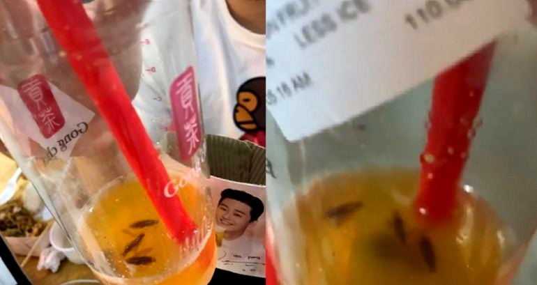 Gong Cha Customer Finds Cockroaches in Fruit Tea