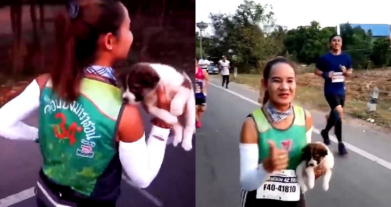 Marathon Runner Runs 19 Miles Holding Abandoned Puppy, Adopts It After Race