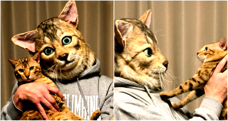 You Can Now Turn Your Cat’s Head Into a Mask For $2,700