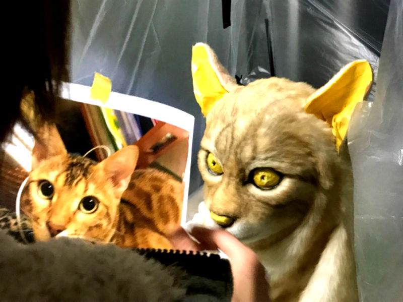 Cat lovers in Japan can now turn themselves into hyper-realistic clones of their pets.