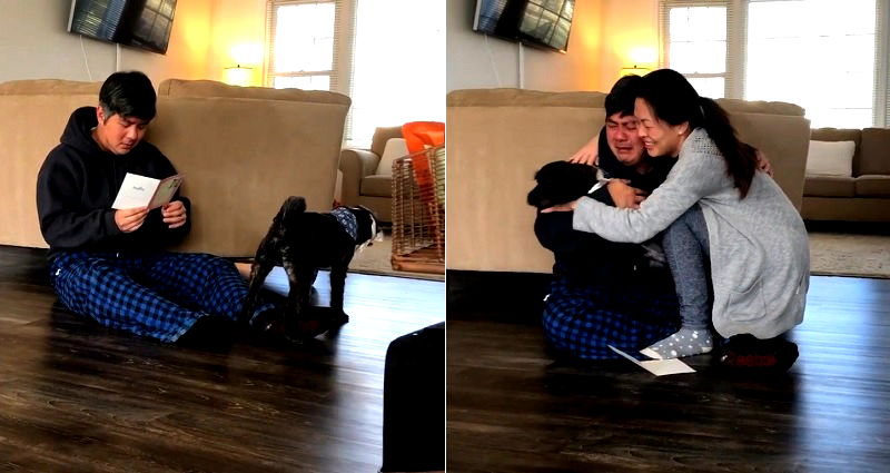 Man Breaks Down and Ugly Cries After Being Told He Can Adopt His Foster Dog