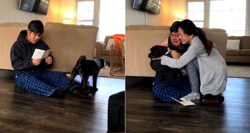Man Breaks Down and Ugly Cries After Being Told He Can Adopt His Foster Dog