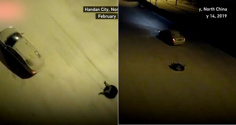 Police Looking for Dad Who Used a Car to Take Son Sledding on an Icy Road in China