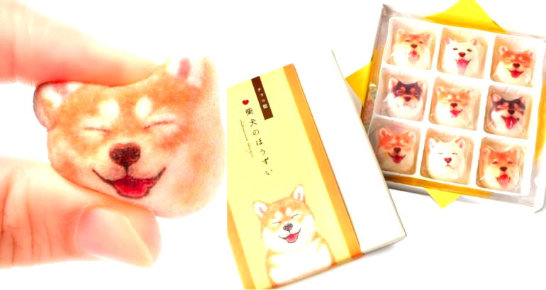 Shiba Inu Marshmallows are a Thing in Japan and Can Be Yours For $12