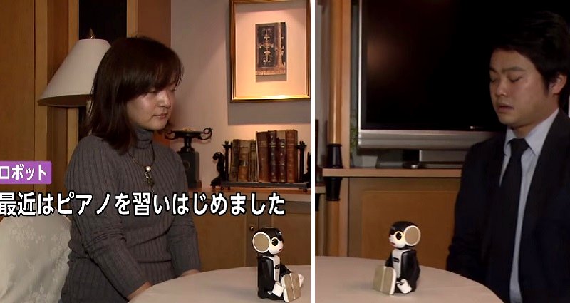 Singles Sit in Silence as Robots Do The Talking at Speed-Dating Parties in Japan