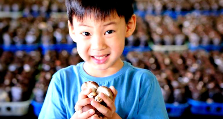 Asians Who Eat Mushrooms Now Have One More Advantage, Singapore Study Suggests